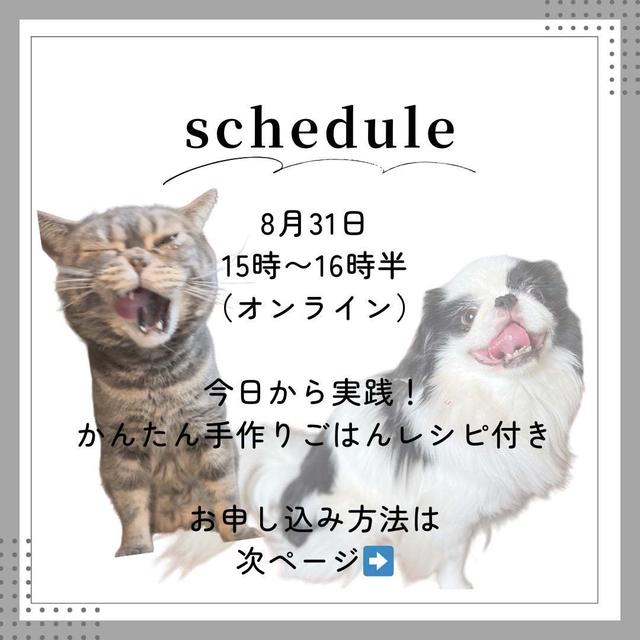 ワンちゃん猫ちゃんに１日でも長く健康で過ごしてほしい欲しい方へ