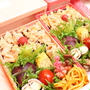 鮭弁当