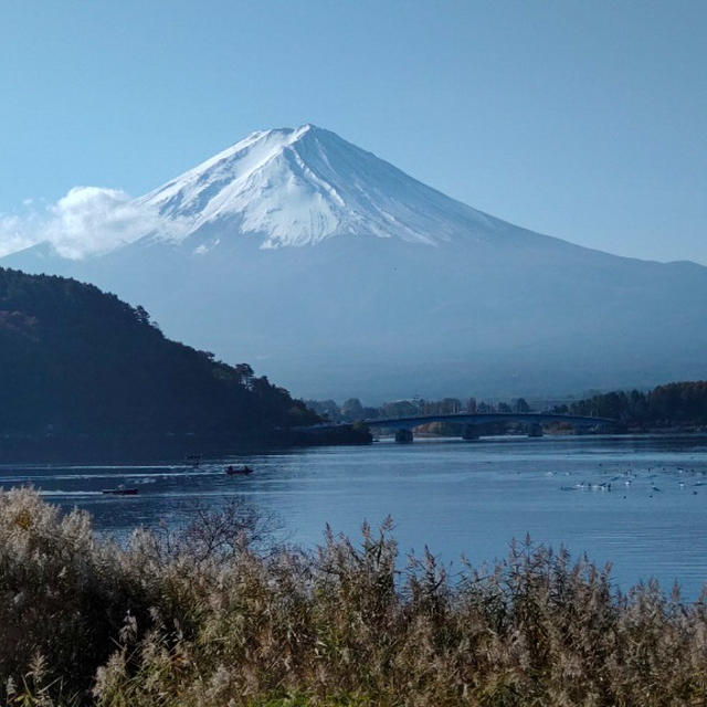 河口湖で富士山見て紅葉満喫ドライブ♪みうらうどんととらや工房も