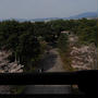 桜の京都・観光案内（7）蹴上インクラインから南禅寺、永観堂