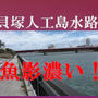 貝塚人工島水路 大阪湾　釣り　京阪神釣り場情報　関西釣り場案内　魚影濃いです