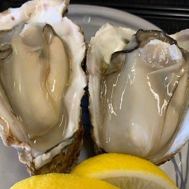 ピア万代　地魚食堂瓢（ひさご）の岩牡蠣でか！うま！