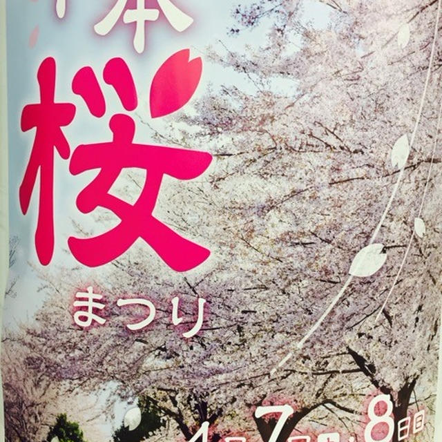 千本 桜祭り