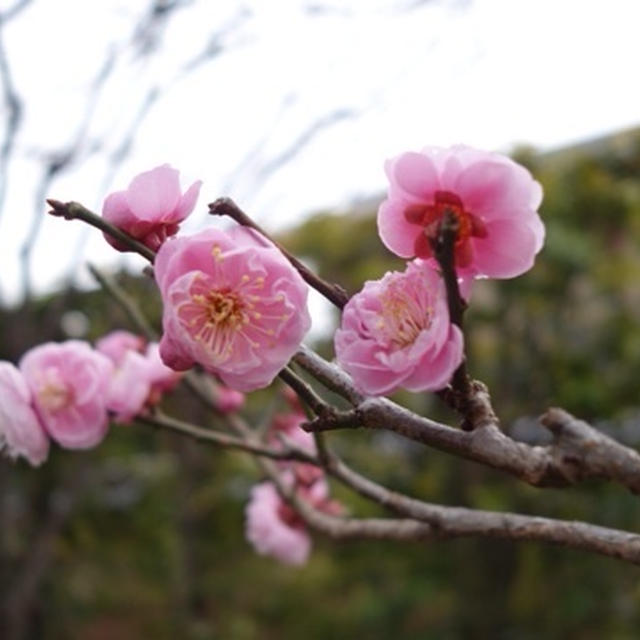 3年