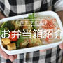 お弁当作りが楽しくなるお弁当箱おすすめ5選！おしゃれだけじゃない機能性がいい
