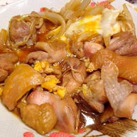 The 親子丼 Bowl of egg and chicken　“OYAKO-DON”