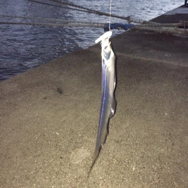 【お楽しみ】今日は良い天気〜♫食材を釣りに♡