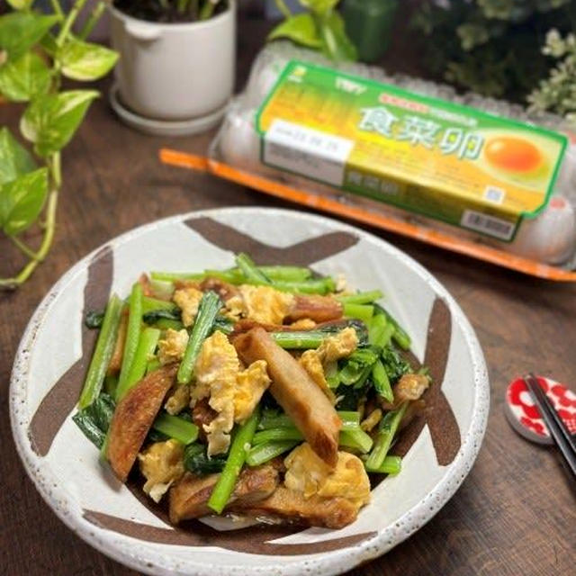 ふっくら美味しい食菜卵で卵メニュー