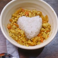 こっそり1人ランチに豆腐でキーマ風カレー