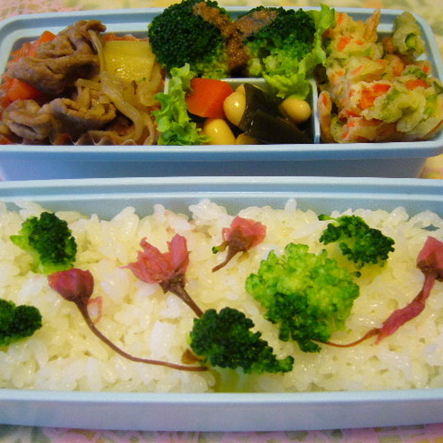 4月4日、まぁまたお弁当ですか？！