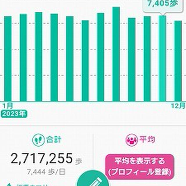 毎日5,000歩を目標に歩いています。（2023年７月～１２月）