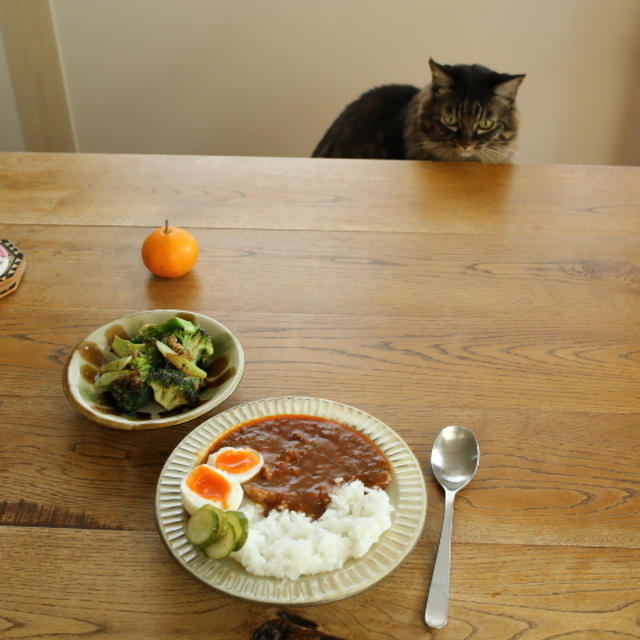 レトルトカレー