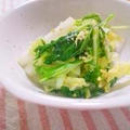 【白菜和え物レシピ3種】和えるだけで超簡単。作り置きにもGOOD！