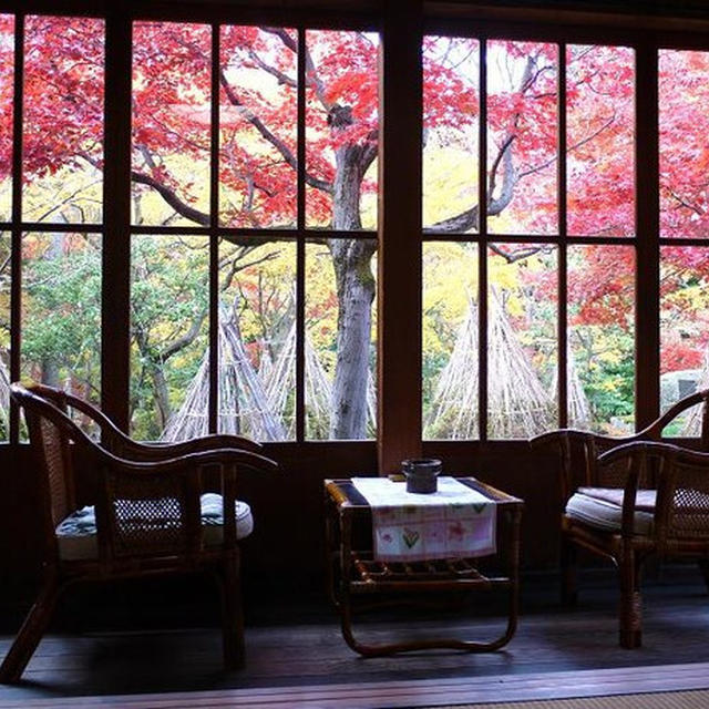 美しい紅葉☆新潟県阿賀野市「考順寺」と「食堂　かねさや」の懐かしラーメン（＾◇＾）