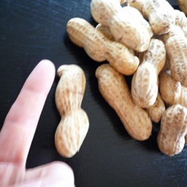 大きな大きなピーナッツ　湘南茅ヶ崎家庭料理教室～GreenCooking-ABE