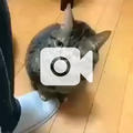 もう笑うしかない ((´∀｀*))ヶﾗヶﾗ