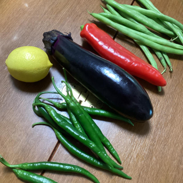 今週のお野菜、青唐辛子は力強く辛い