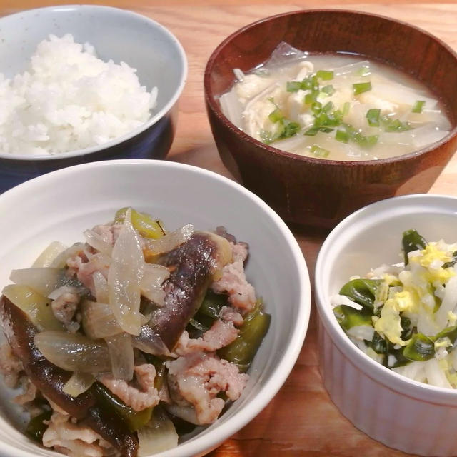 豚肉となすの中華炒めと白菜サラダ定食