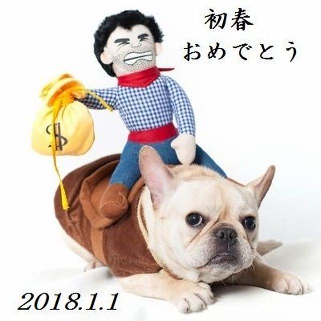 新年　おめでとうございます♪☆♪☆♪