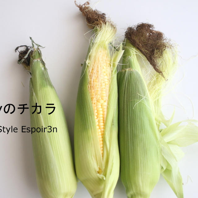 ズッキーニたまねぎ黒トリュフキッシュＶｅｇｇｙのチカラお料理レッスンはじまりました。