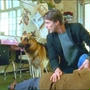 ★『REX～ウィーン警察シェパード犬刑事』シリーズ6