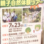 中央区　体験企画
