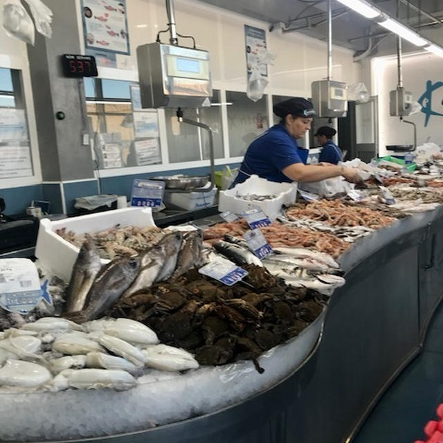 わんこと一緒にぶら〜り海沿い散策そして朝カフェ