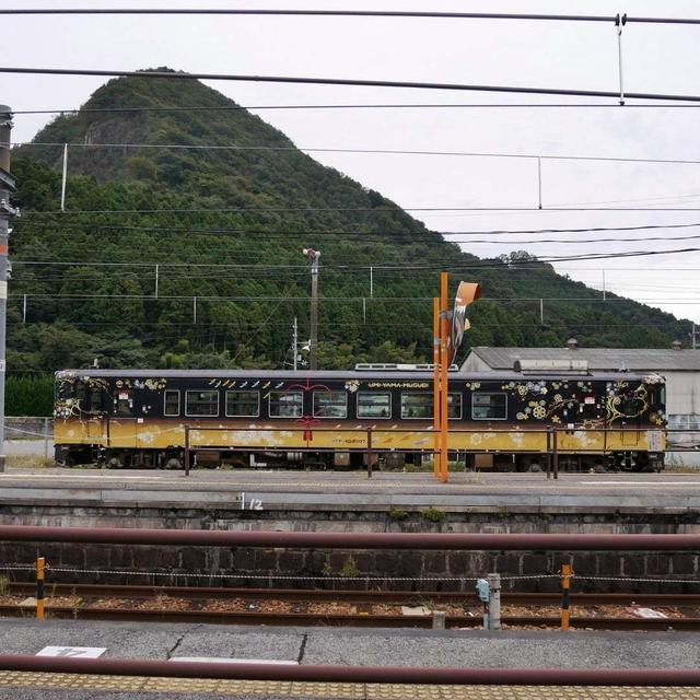 JR西日本うみやまむすび#最近撮った写真は