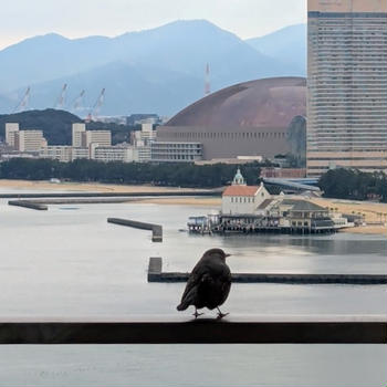 ９日ぶりの外出と、母のスケジュール管理