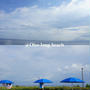 大磯Long Beach × fly。　Il Chianti @江の島