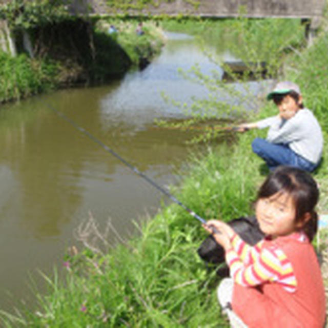 タナゴ釣り