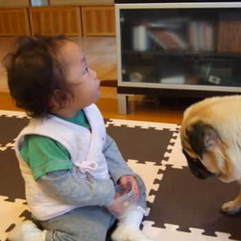 おすそわけをお願い