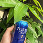 仕事終わりにクラフトビール＆パキラ