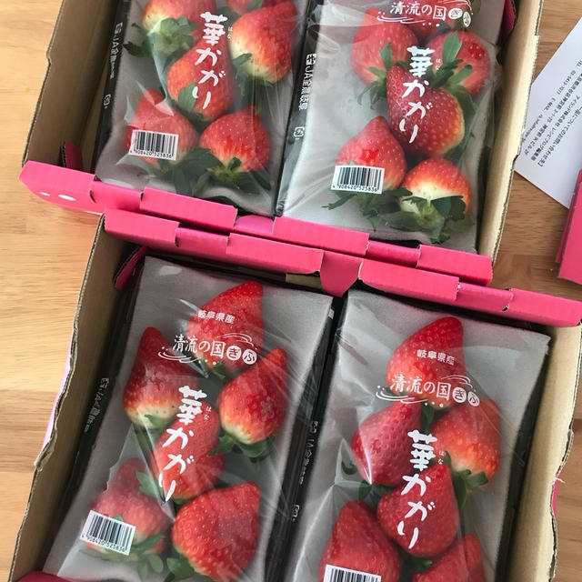 大きい！岐阜産まれの【華かがり いちご】が我が家にやってきた♪