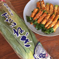 〈下仁田ねぎ〉ウマウマ♪ ねぎ肉巻き