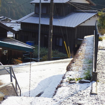 雪が降った