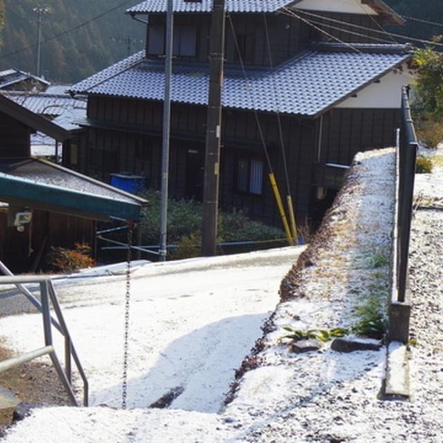 雪が降った