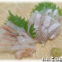 【釣り魚料理：真鯛/鬼カサゴ/オコゼ】真鯛とオニカサゴのお刺身