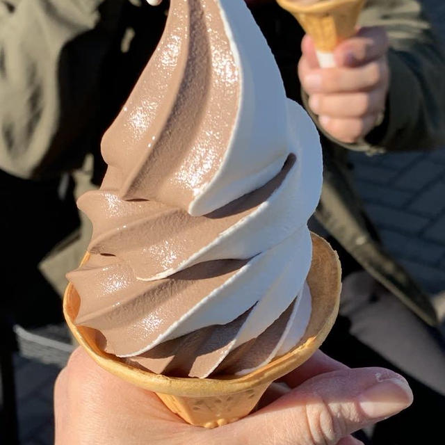 赤城高原SA下りでミックスソフトクリーム美味しかったです〜