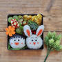 ちびまる子ちゃん弁当