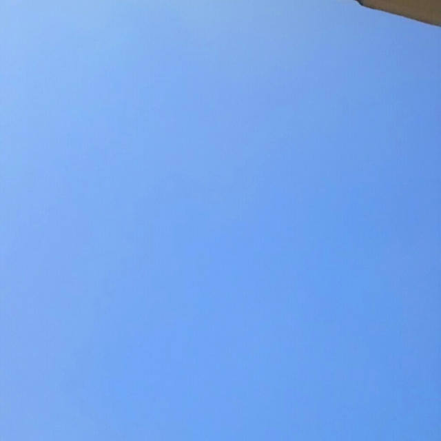 ☆秋晴れ☆