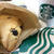 スタバでオヤツ