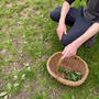 イギリス・自然の中で「フォレジング(foraging)」