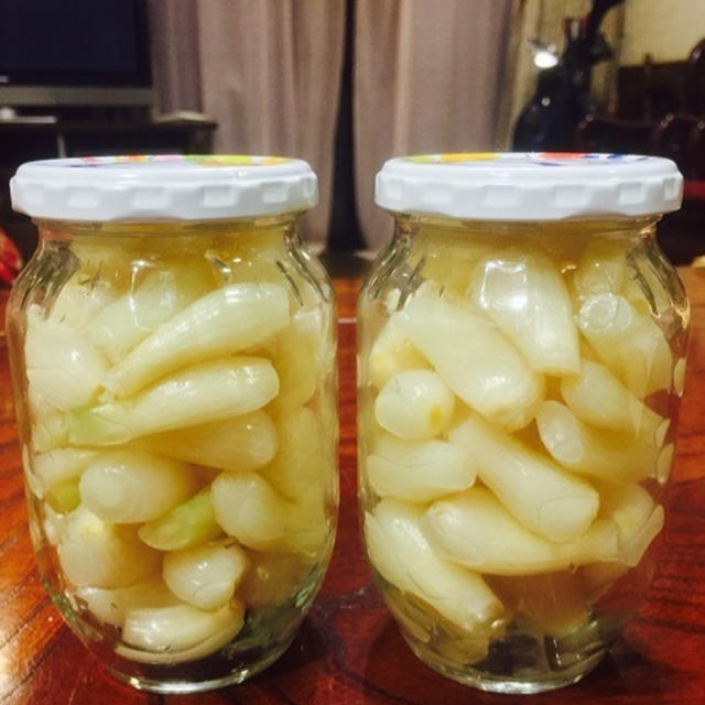 塩らっきょう♪出来上がりました〜(o^^o)