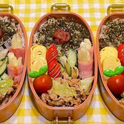 6月27日＊ピリ辛味噌炒めでお弁当