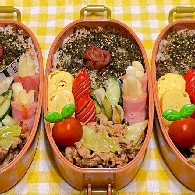 6月27日＊ピリ辛味噌炒めでお弁当