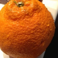 【モニター】デコポンのフルブラ