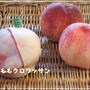 夏の新作☆ももクロワッサン（VIE DE FRANCE）