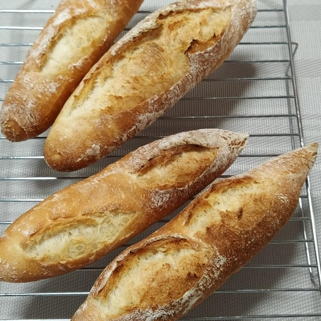 ヒトにあげるパンは、ドキドキです。