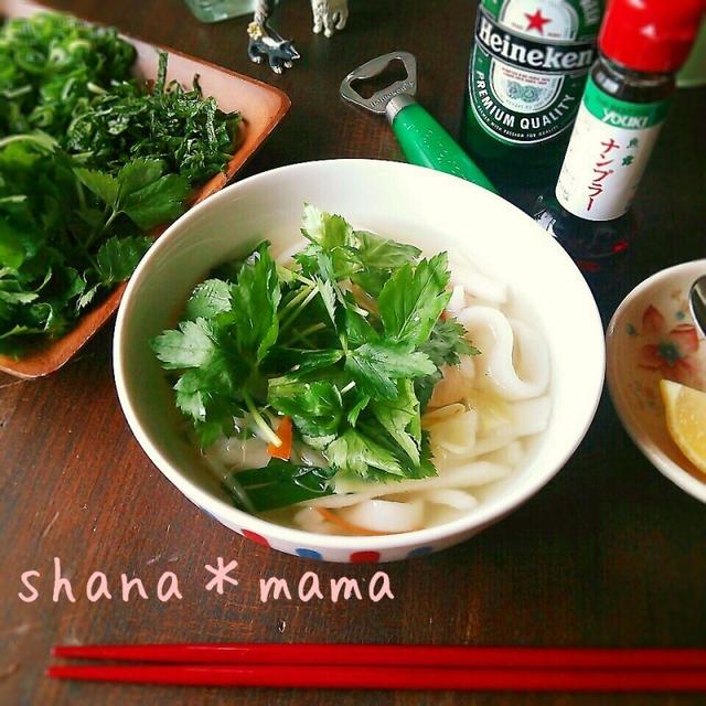 麺から作るよ つるっもち 簡単ベトナムフォー By しゃなママさん レシピブログ 料理ブログのレシピ満載